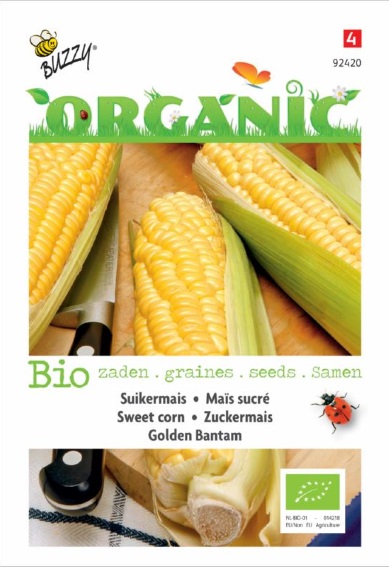 Sweet corn Golden Bantam BIO (Zea mays) 15 seeds BU